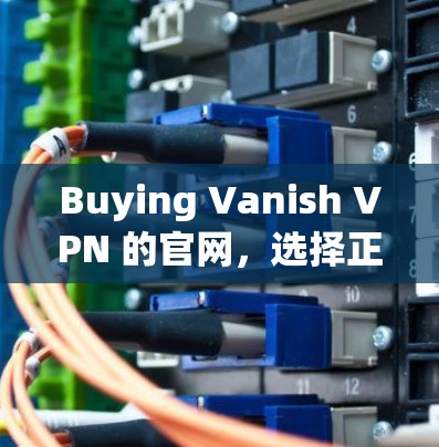 Buying Vanish VPN 的官网,选择正确渠道保障网络安全