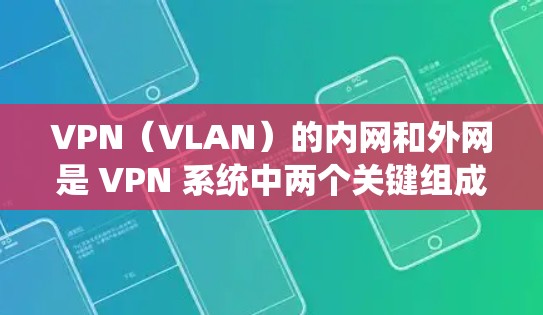 VPN（VLAN）的内网和外网是 VPN 系统中两个关键组成部分，用于连接到 VPN 的网络。以下是关于 VPN 内网和外网的详细解释