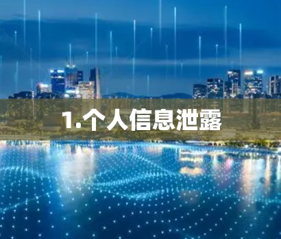 1.个人信息泄露