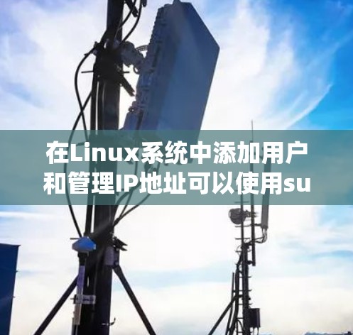 网络梯子 第114页