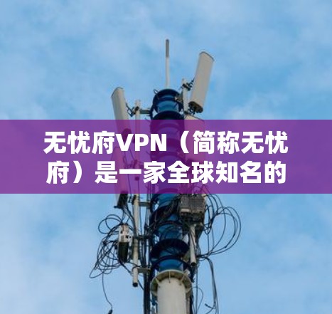 无忧府VPN(简称无忧府)是一家全球知名的VPN服务提供商,专注于提供安全、可靠和便捷的网络连接服务。以下是关于无忧府VPN的一些关键信息和分析