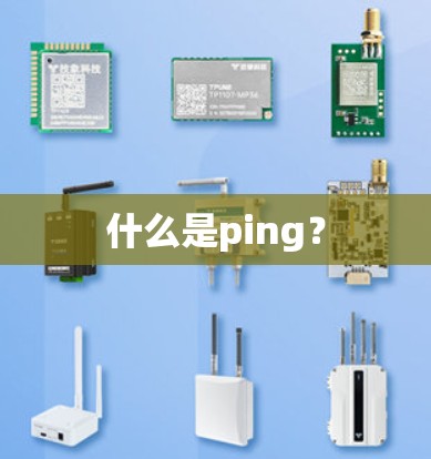 什么是ping?