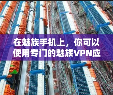 在魅族手机上，你可以使用专门的魅族VPN应用来进行VPN服务。这个应用通常集成在手机上，方便用户使用。以下是具体的步骤和注意事项