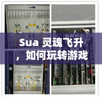 Sua 灵魂飞升，如何玩转游戏与游戏