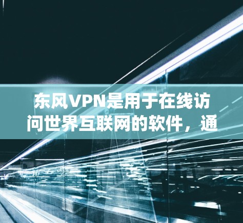 东风VPN是用于在线访问世界互联网的软件，通常会在苹果App Store上销售。如果你在寻找东风VPN的苹果官网，可以尝试以下步骤
