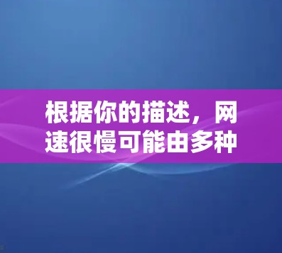 根据你的描述，网速很慢可能由多种因素导致，以下是一些可能的解决方案