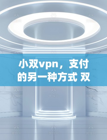 小双vpn，支付的另一种方式 双倍支付的加密方式