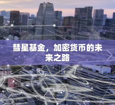 彗星基金,加密货币的未来之路