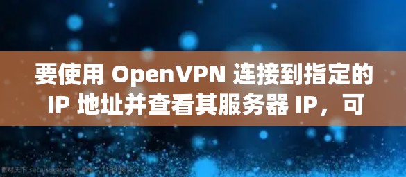 要使用 OpenVPN 连接到指定的 IP 地址并查看其服务器 IP,可以按照以下步骤操作