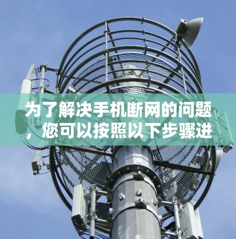 网络梯子 第81页