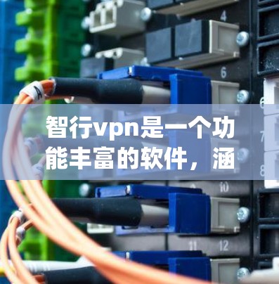 智行vpn是一个功能丰富的软件，涵盖了多种操作步骤，以下是一些常见的操作步骤和功能