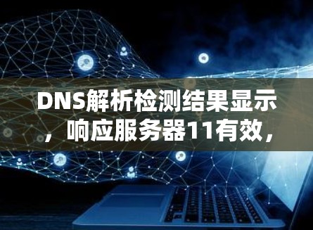 DNS解析检测结果显示,响应服务器11有效,请求状态为44错误,响应时间在.1秒内通过,数据包有效。然而,由于请求失败,DNS解析检测整体结果为失败