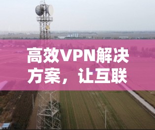 高效VPN解决方案，让互联网连接更简单
