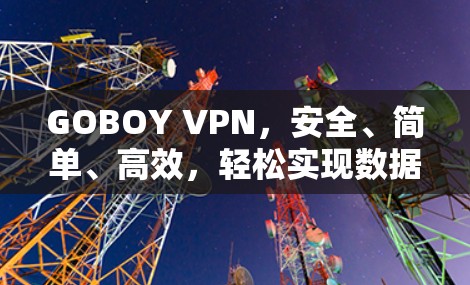 GOBOY VPN,安全、简单、高效,轻松实现数据加密