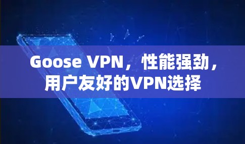 Goose VPN,性能强劲,用户友好的VPN选择