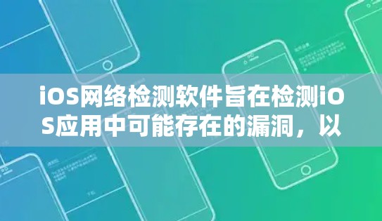 iOS网络检测软件旨在检测iOS应用中可能存在的漏洞,以确保应用的安全性和稳定性。以下是一些常见的iOS网络检测软件及其功能