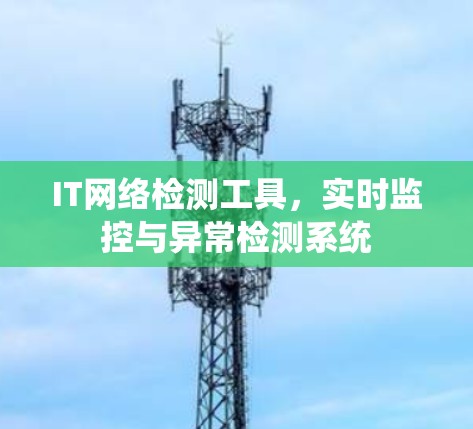 IT网络检测工具,实时监控与异常检测系统