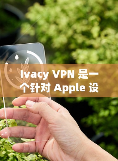 快连加速器VPN下载 第15页