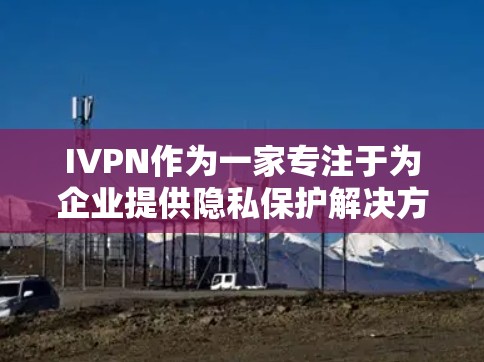 IVPN作为一家专注于为企业提供隐私保护解决方案的公司，其隐私功能覆盖了多个关键方面，旨在保护用户和企业的数据安全。以下是IVPN在隐私功能上的具体分析