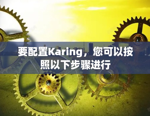 要配置Karing，您可以按照以下步骤进行