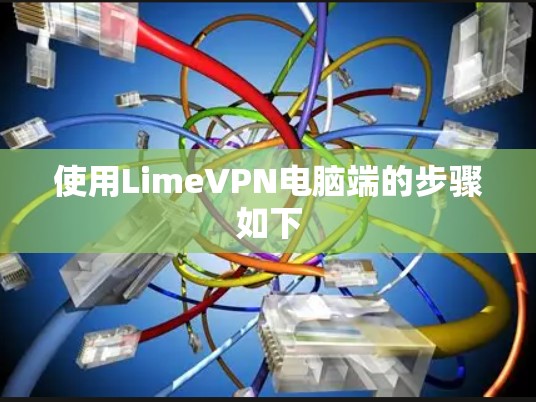 使用LimeVPN电脑端的步骤如下