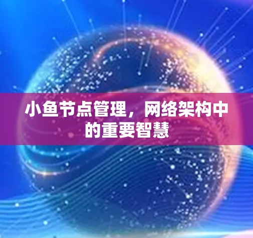 小鱼节点管理,网络架构中的重要智慧