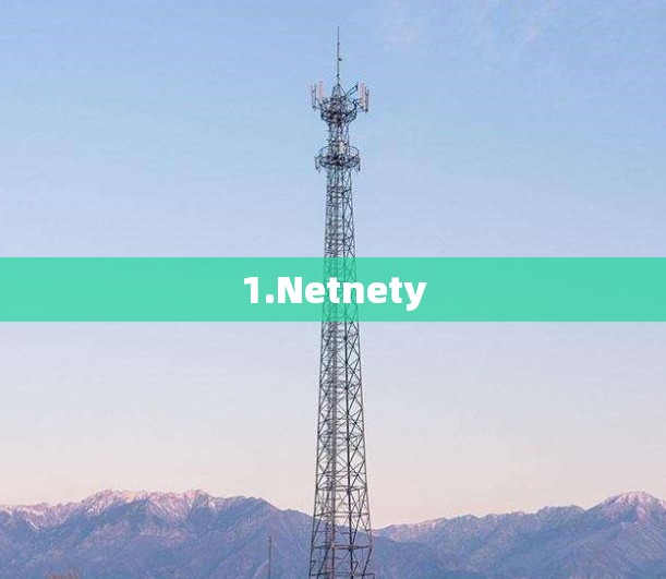 1.Netnety