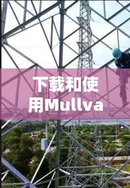 下载和使用Mullvad VPN安卓版本的步骤如下