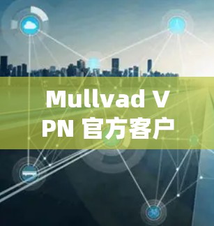 Mullvad VPN 官方客户端