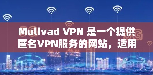 Mullvad VPN 是一个提供匿名VPN服务的网站,适用于在虚拟世界中进行安全连接。以下是使用 Mullvad VPN 下载和安装的教程