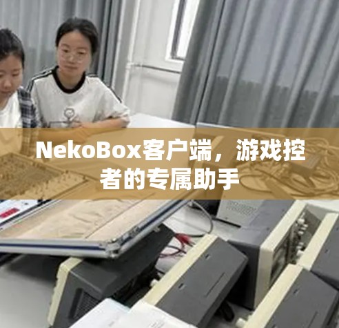 NekoBox客户端,游戏控者的专属助手