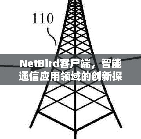 NetBird客户端,智能通信应用领域的创新探索