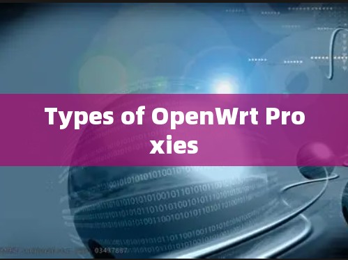 Types of OpenWrt Proxies