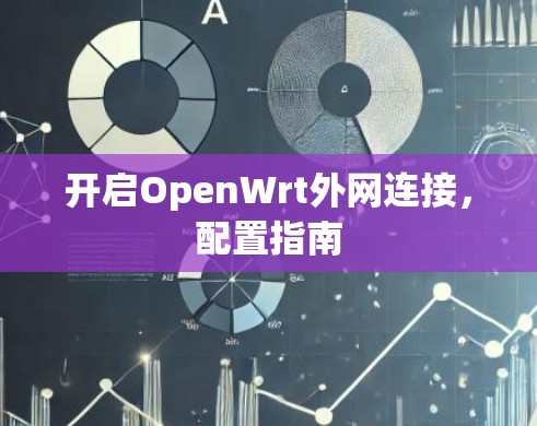 开启OpenWrt外网连接,配置指南