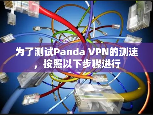 为了测试Panda VPN的测速，按照以下步骤进行