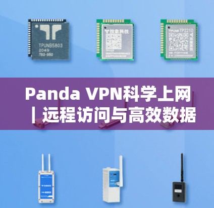 Panda VPN科学上网｜远程访问与高效数据传输的全新解决方案