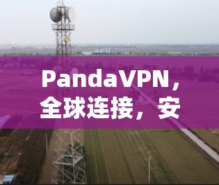 PandaVPN,全球连接,安全无痕,轻松上网