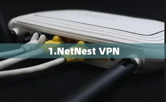1.NetNest VPN