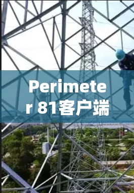 Perimeter 81客户端,解决Perimeter 81环境问题的解决方案