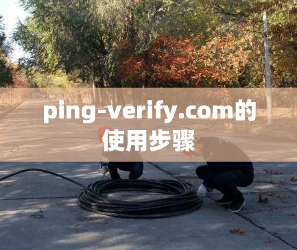 ping-verify.com的使用步骤